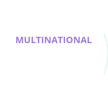MULTINATIONAL Students from around the world with various perspectives on social issues working together as a team