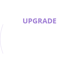 Upgrade Sunny Scholar offers an advanced educational program that helps people become innovators.